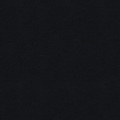 Kravet Couture SIDE KICK.8.0 Side Kick Upholstery Fabric in Black , Black , Raven